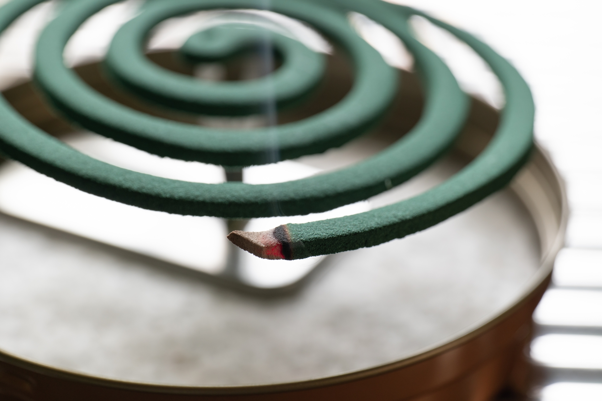 バルサン ハクビシン