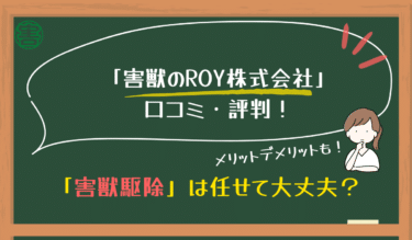 【害獣駆除】ROY株式会社の口コミ・評判！ネズミ等駆除を依頼しても大丈夫？