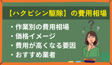 ハクビシン駆除の費用相場はいくら？｜プロ監修で解説