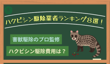 【プロ監修】ハクビシン駆除業者おすすめ比較ランキング８選！費用相場も解説！