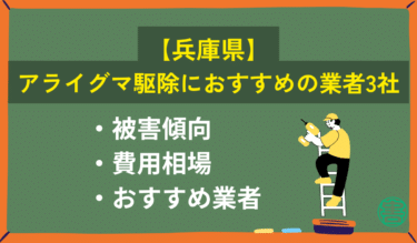 【兵庫県】アライグマ駆除におすすめの業者３社