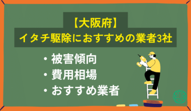 【大阪府】イタチ駆除におすすめの業者3社｜隙間侵入
