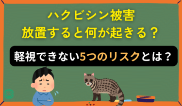 ハクビシン被害を放置するとどうなる？家・健康・費用へのリスクを徹底解説