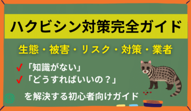 ハクビシン被害・対策の完全ガイド｜原因・侵入経路・費用・正しい対処法